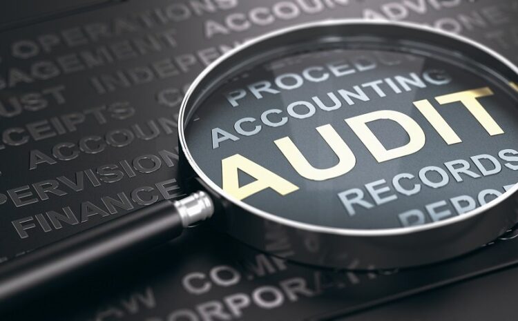  Pay Equity Audits